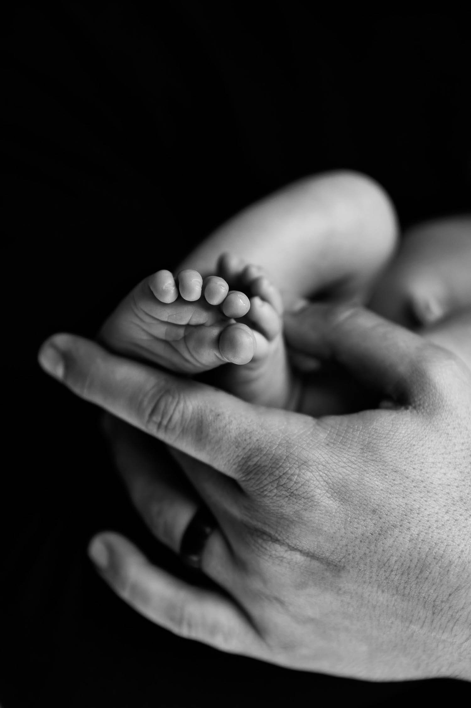 ron-harding-photography-newborn-shoot